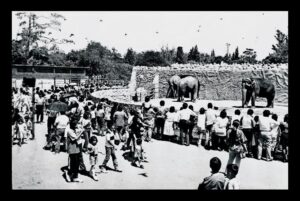 Zoológico de Chapultepec celebra 100 años: Así era antes (FOTOS)