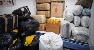 Importante Golpe al Narcotráfico: Asegurados 400 Kilos de Marihuana en Tepito