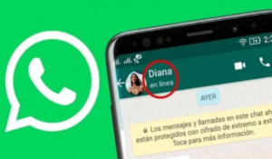 Aprende cómo evitar que aparezcan "en línea" en WhatsApp al cerrar la aplicación