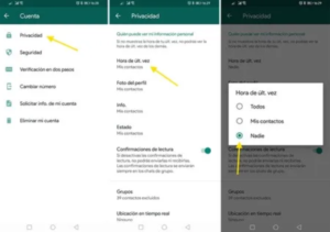 Aprende cómo evitar que aparezcan "en línea" en WhatsApp al cerrar la aplicación