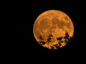 superluna de ciervo