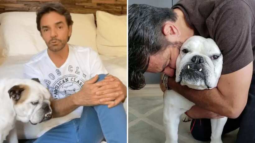 Eugenio Derbez está de luto, muere “su hija” y fiel compañera Fiona