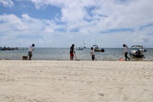 Gobierno de Puerto Morelos trabaja con la Marina y la SEMA en limpieza del sargazo 2