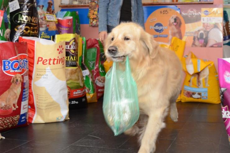 Walmart permite a tus mascotas acompañarte a hacer el súper