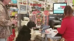 Walmart permite a tus mascotas acompañarte a hacer el súper