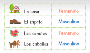 Que es el genero masculino y femenino