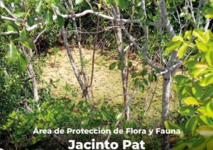 Quintana Roo cuenta con 4 nuevas áreas naturales protegidas