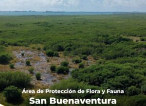 Quintana Roo cuenta con 4 nuevas áreas naturales protegidas