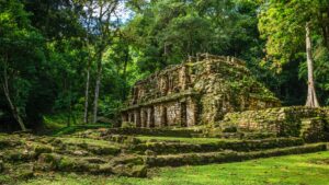 ¿Cuáles son las zonas arqueológicas de Chiapas?