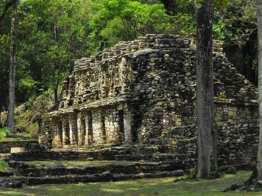 Yaxchilán, templos y tumbas tras el nombre de icónica calle de Cancún