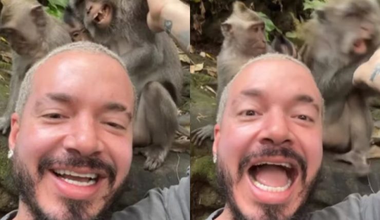 ¿Cómo sucedió? Preocupa J Balvin a fans luego de mordida de mono (VIDEO)