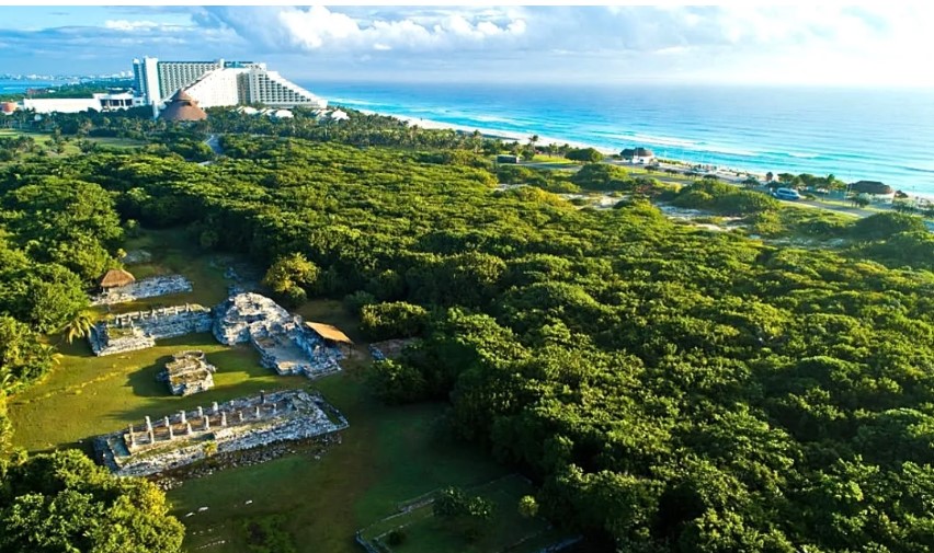 Delimitan 4.8 hectáreas de área protección de flora y fauna de Playa Delfines