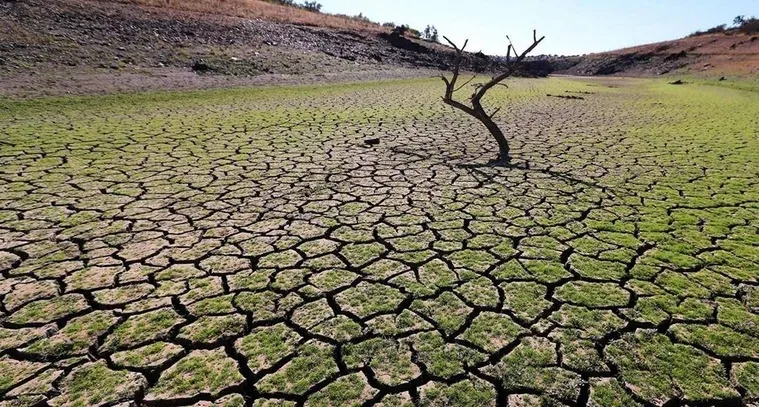 Sequía afecta a 1 de cada 4 en América del Norte