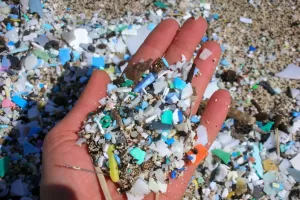 Medio ambiente: "No existe día que no comamos microplásticos"