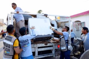 Aumentan casos de dengue en Quintana Roo por cambio climático