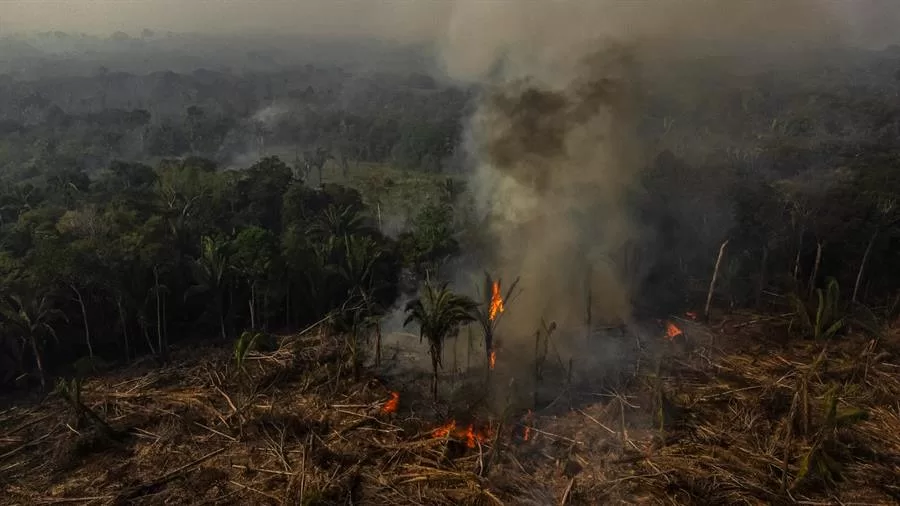 ¡Emergencia ambiental! Declaran esta situación en el Amazonas por incendios