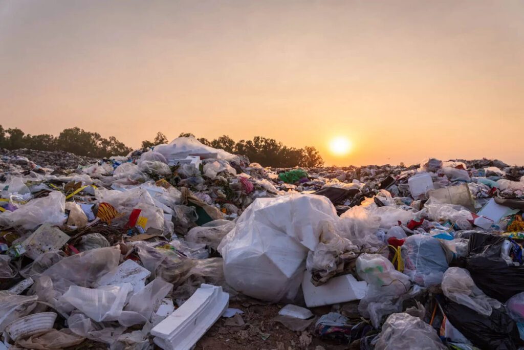 Los Otros Datos: La basura y su impacto en el medio ambiente
