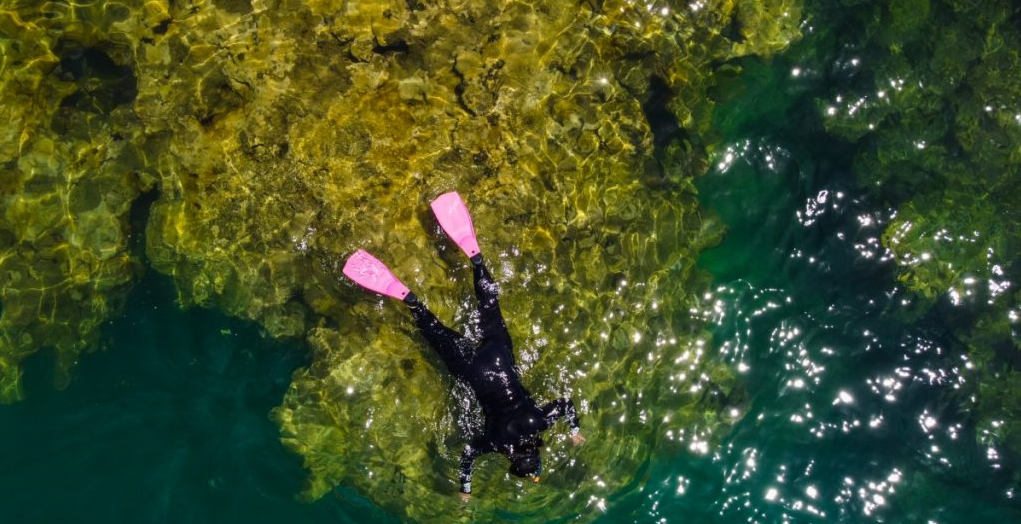 Científicos cubanos desean salvar arrecifes de coral ante aumento de temperatura del mar