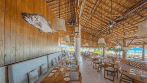 C5 de Cancún conectará 600 cámaras al sector restaurantero