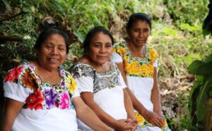 Alerta en Quintana Roo: Lengua Maya en peligro de extinción