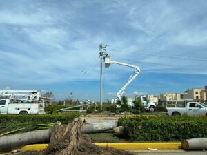 CFE espera restablecer servicio electrico en Acapulco en la presente semana