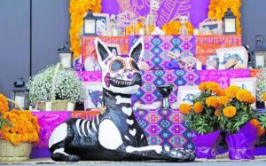 La forma más conmovedora para crear un altar de muertos para mascotas