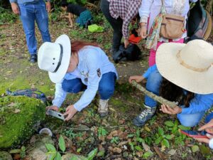 Importantes descubrimientos en Reserva de la Biosfera Isla Cozumel 4