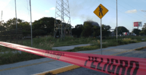 Trágico ataque de abejas en Cancún: Hombre pierde la vida en Av. Chac Mool