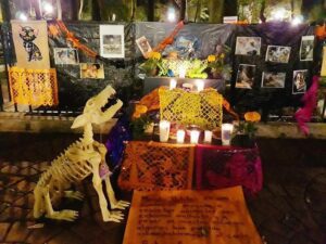 La forma más conmovedora para crear un altar de muertos para mascotas