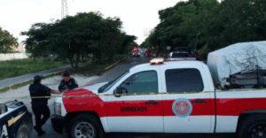 Trágico ataque de abejas en Cancún: Hombre pierde la vida en Av. Chac Mool