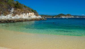 Descubre la maravilla del desove de Tortugas en 3 playas de México