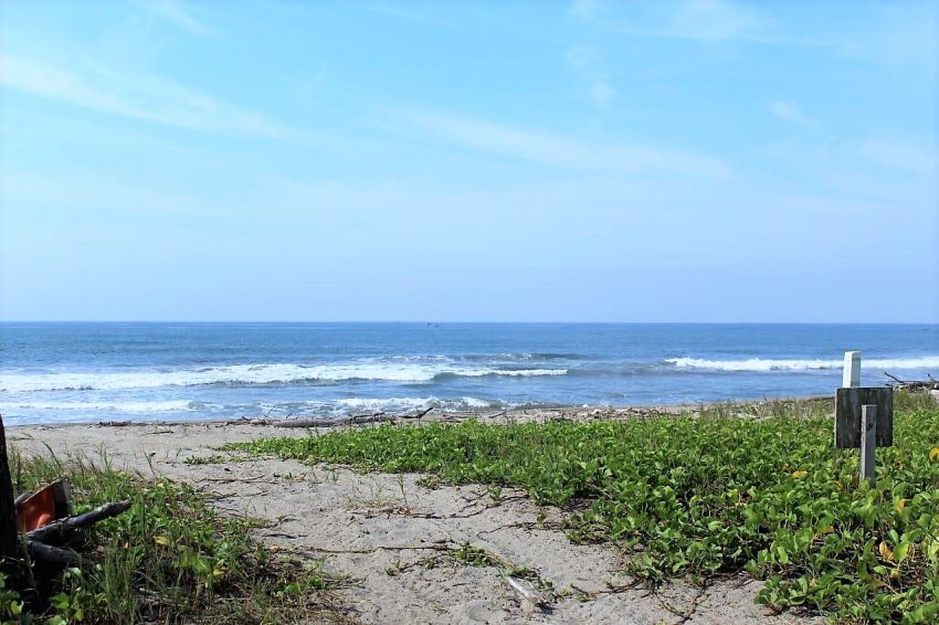 Descubre la maravilla del desove de Tortugas en 3 playas de México