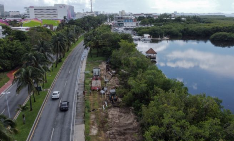 Crimen ambiental: Devastación Ilegal del Manglar en Cancún