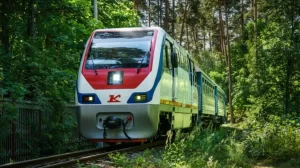 ¿Solo tiene Primaria y quieres ganar 22 mil pesos? Checa esta vacante del Tren Maya