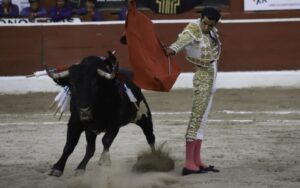 Ante continuidad de corridas de toros en CDMX, AMLO propone consulta ciudadana