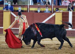 ¿Corridas de toros regresan a CDMX? Esto determinó la SCJN