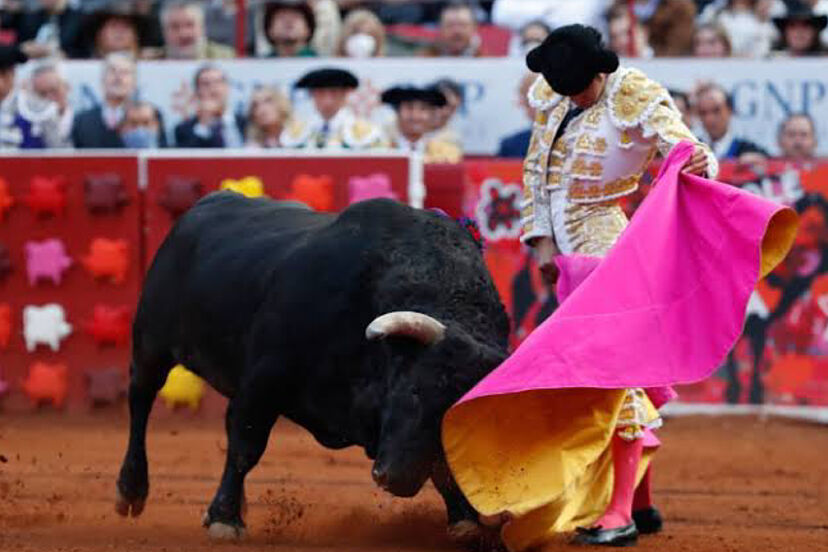 ¿Corridas de toros regresan a CDMX? Esto determinó la SCJN