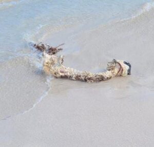 Restos humanos recalan en playa de Zona Hotelera de Cancún 