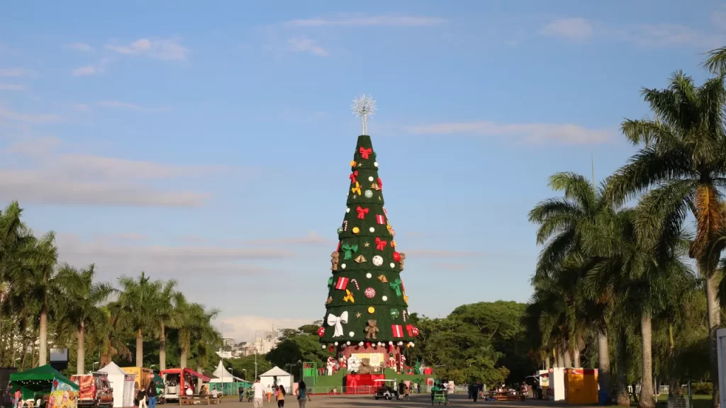 El enigma del árbol de Navidad: Un recorrido por sus orígenes