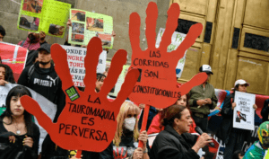 Protestas en CDMX: La Suprema Corte permite regreso de corridas de toros