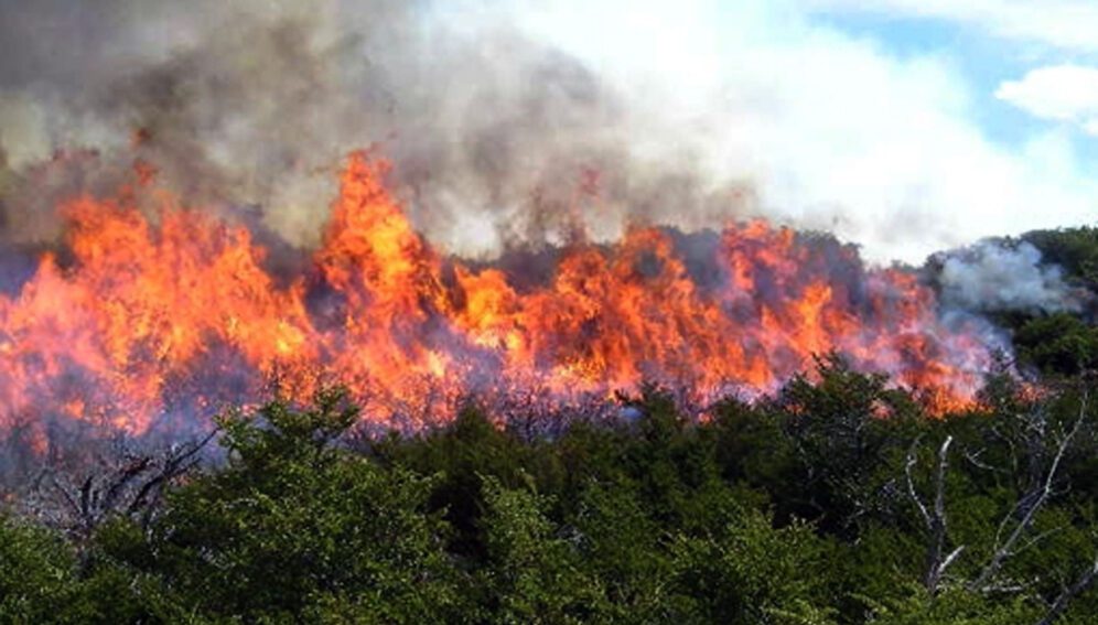 incendios forestales Amazonia 996x567 1