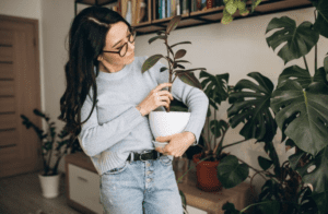 Plantas tóxicas en casa: Conoce cuales evitar