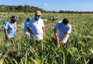 Mara Lezama gestiona recursos para el campo de Quintana Roo ante la SADER