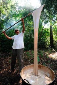 Historia y origen del CHICLE o goma de mascar