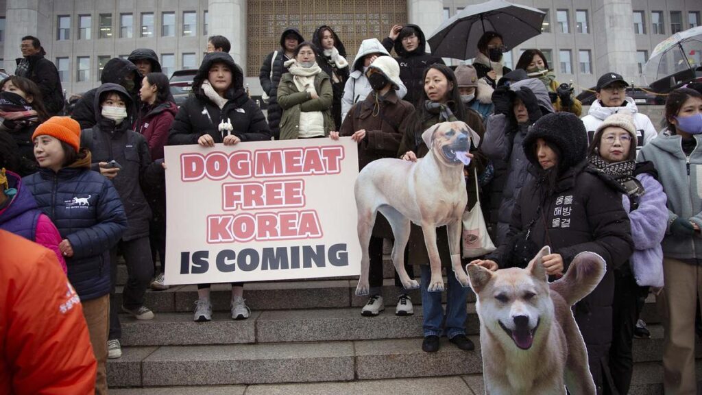 Corea del Sur prohíbe el comercio de carne de perro.