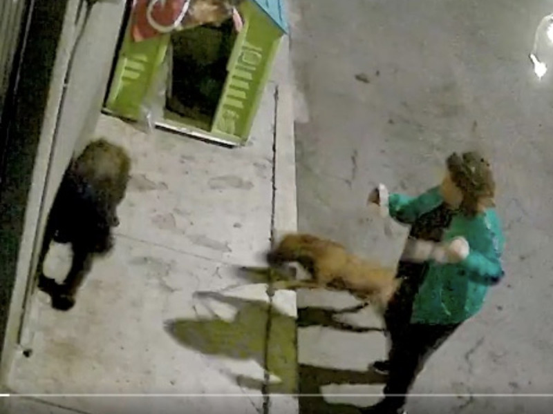 Señora avienta a pelear a su perro con canes callejeros (VIDEO)