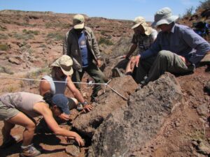Descubrimiento en Argentina: Nueva especie de dinosaurio herbívoro
