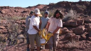 Descubrimiento en Argentina: Nueva especie de dinosaurio herbívoro