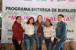 Impulsan crianza de búfalos en Zona Continental de Isla Mujeres