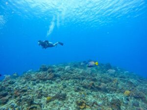 Quintana Roo, reafirma éxito en llegada de cruceros turísticos